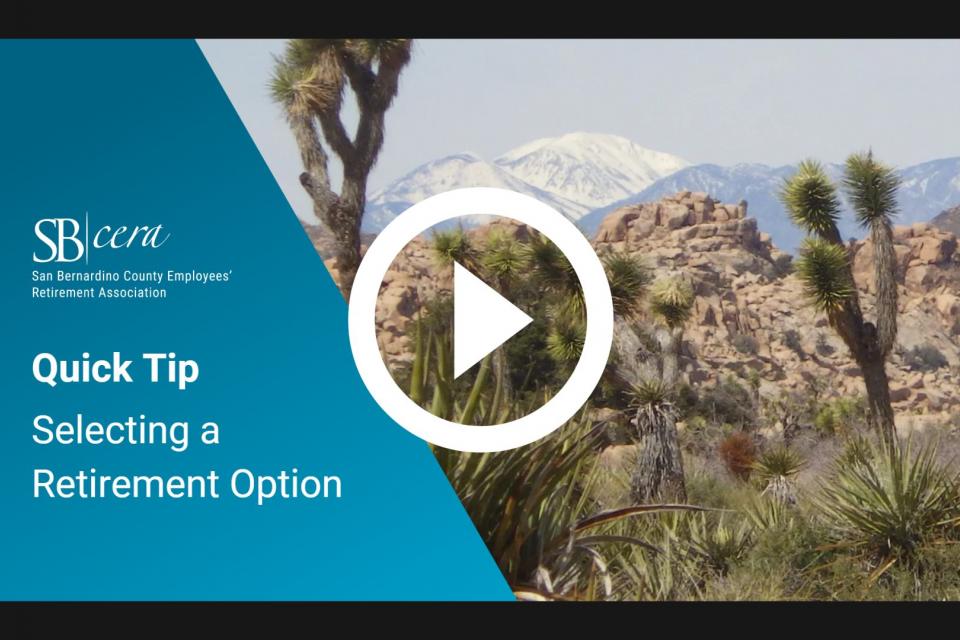 Selecting a Retirement Option