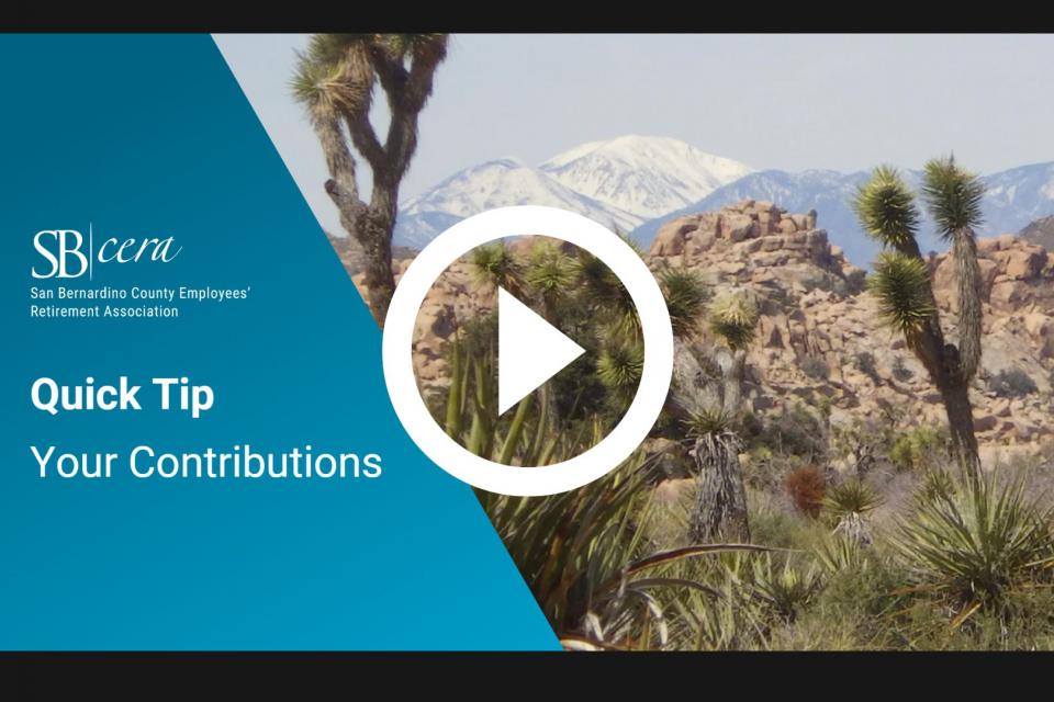 Your Contributions